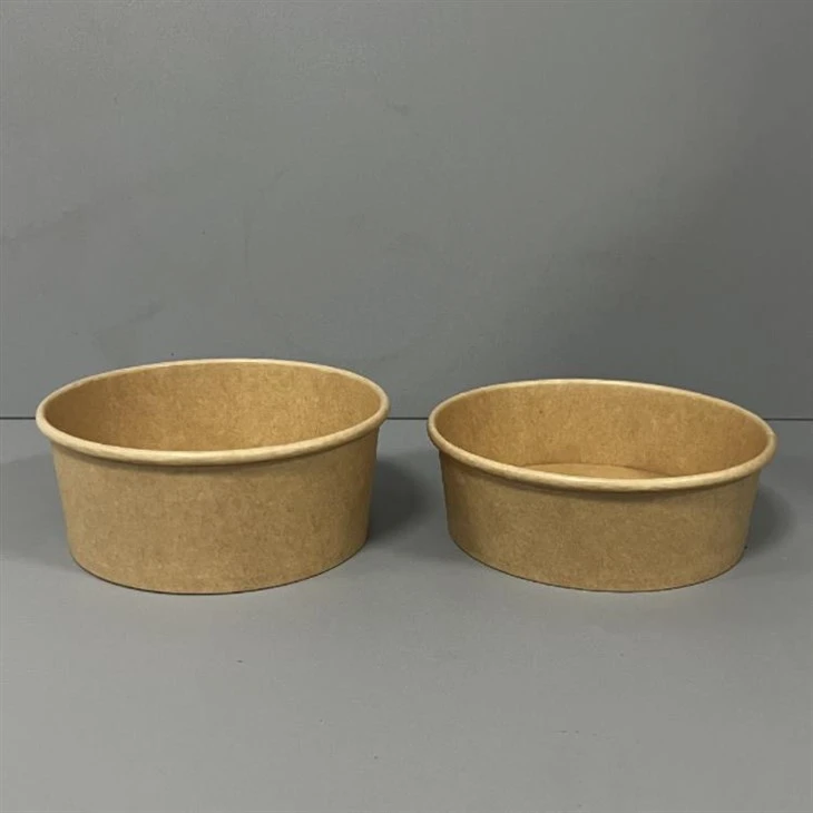Bát salad kraft 500ml 750ml